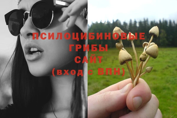 винт Балахна