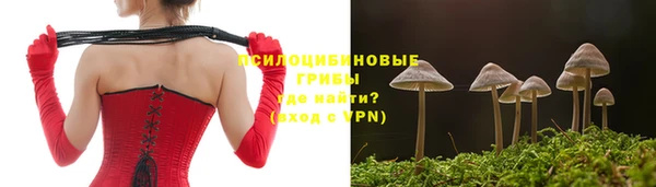 винт Балахна