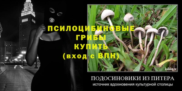 винт Балахна